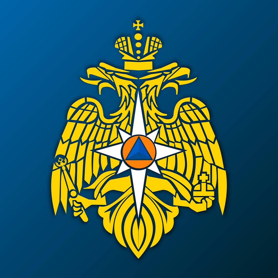 ЭКСТРЕННОЕ ПРЕДУПРЕЖДЕНИЕ.