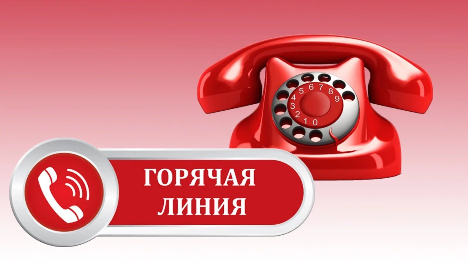 ГОРЯЧАЯ ЛИНИЯ ПО ВОПРОСАМ ЗАДОЛЖЕННОСТИ ПО ЗАРАБОТНОЙ ПЛАТЕ.