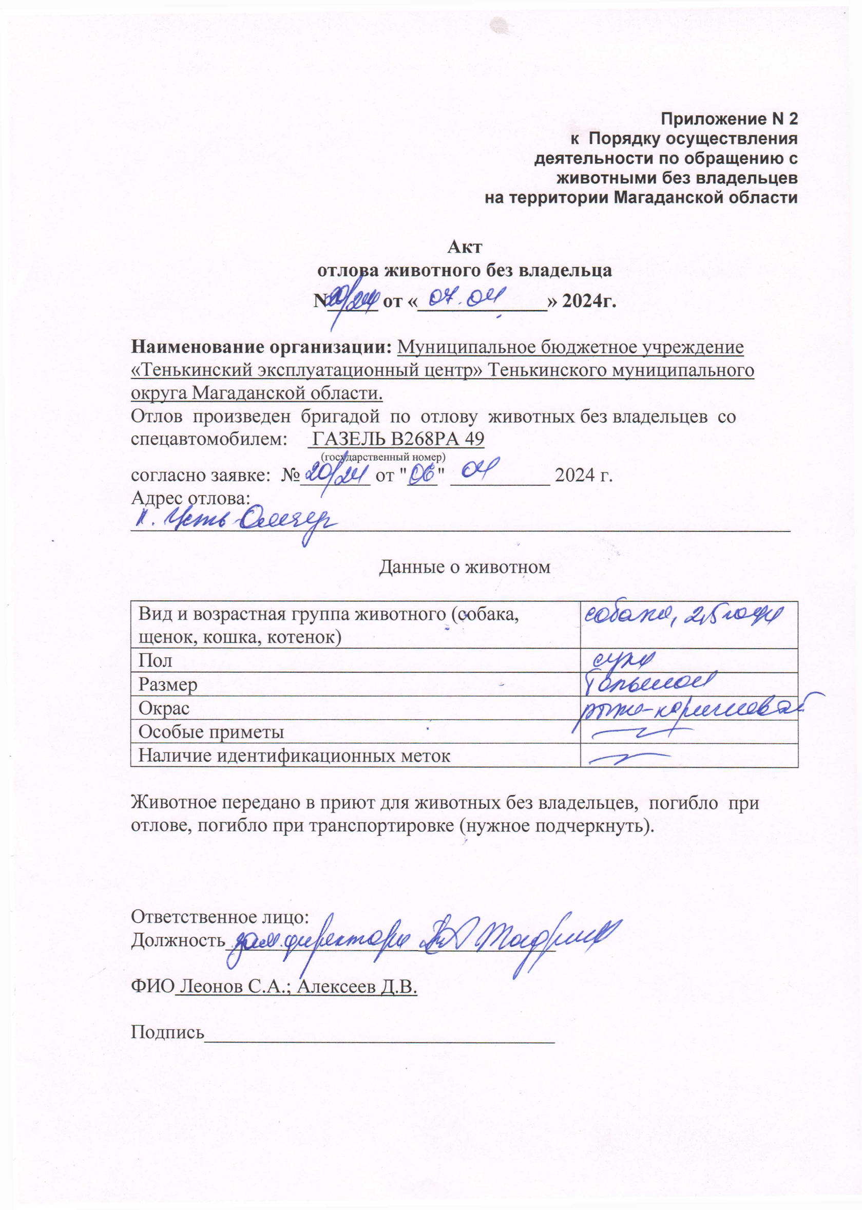 Питомцы.