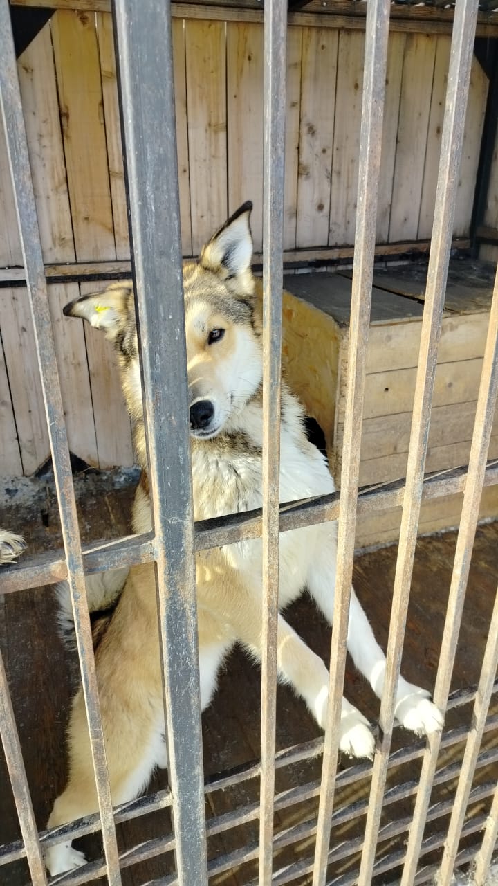 Акт ---Космонавтов 12.03..