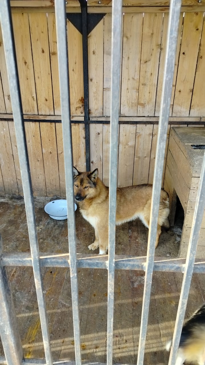 Акт Космонавтов 12.03..