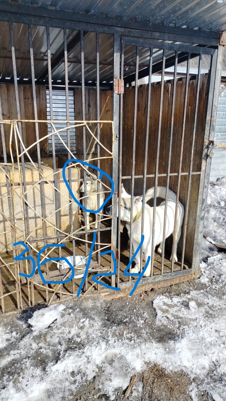 Омчак 16.05.