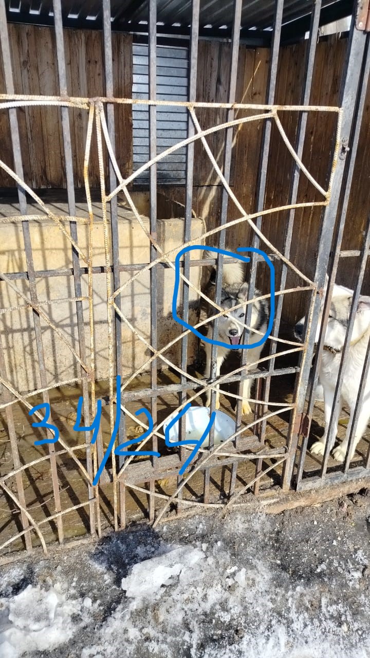 Омчак 16.05.