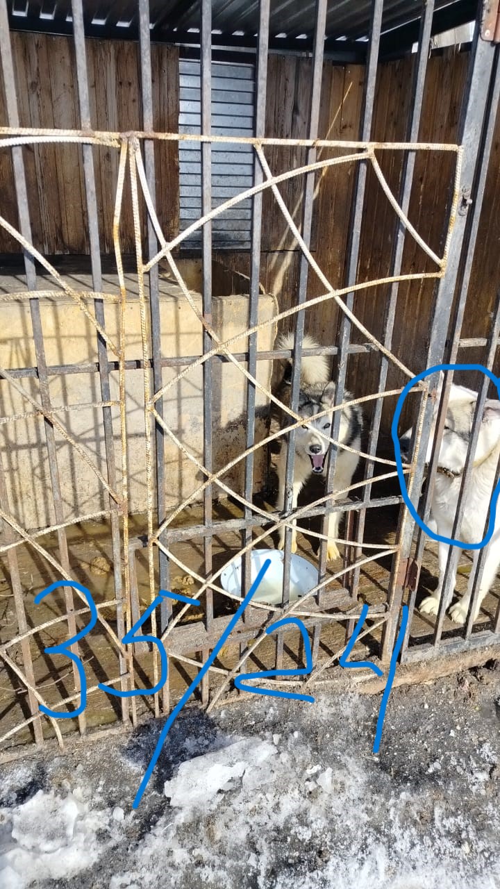 Омчак 16.05.