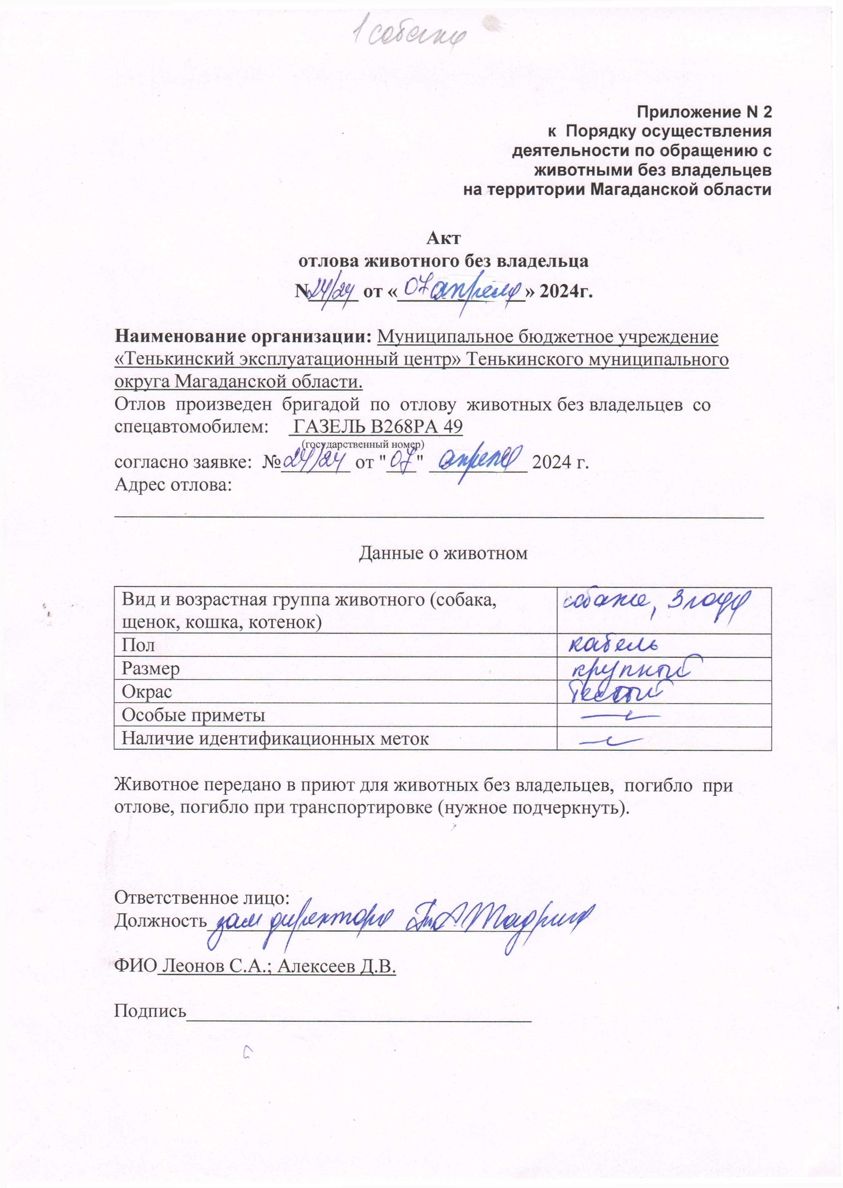 Питомцы.