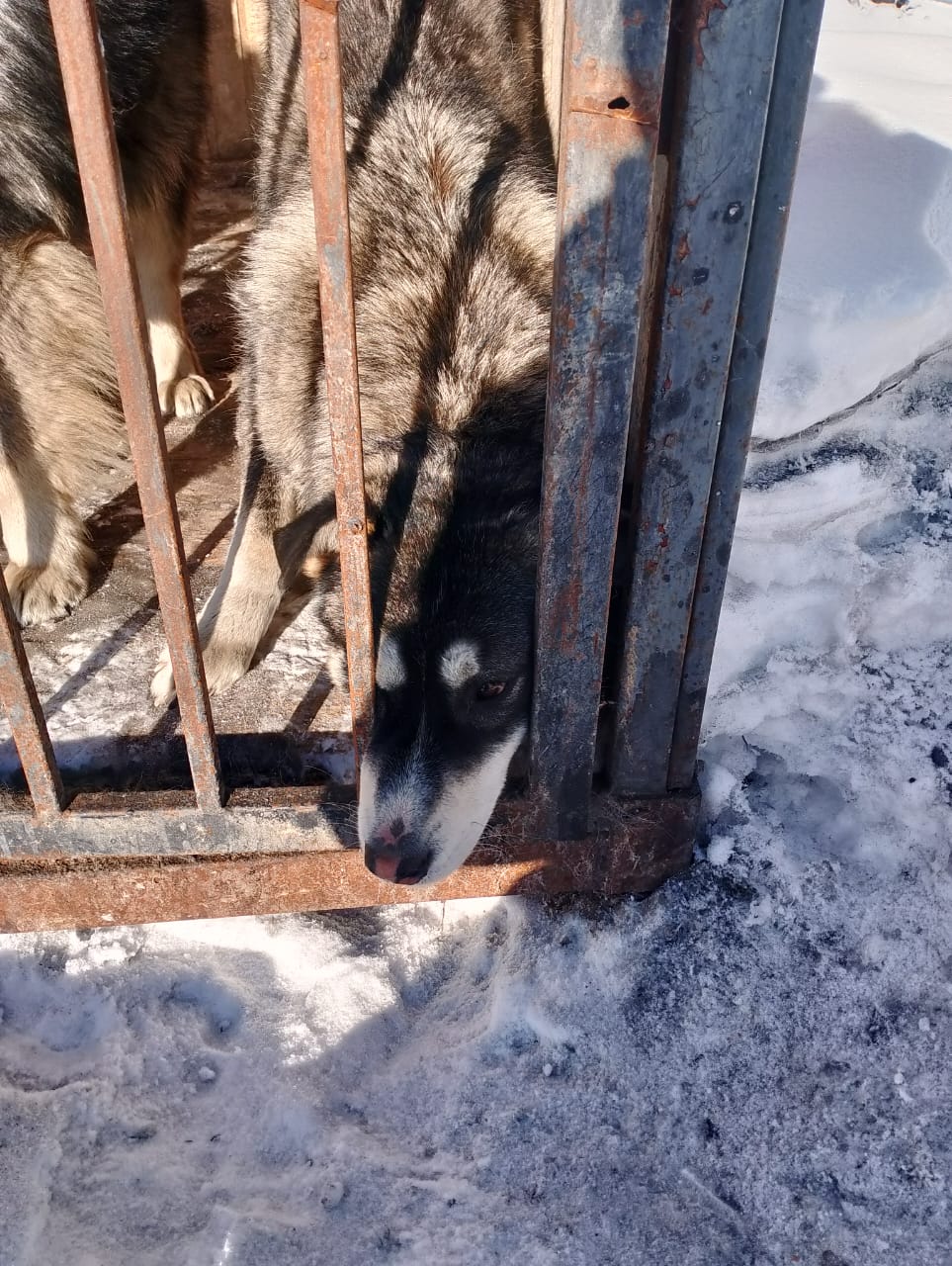 № 17/25 от 27.02.2025.