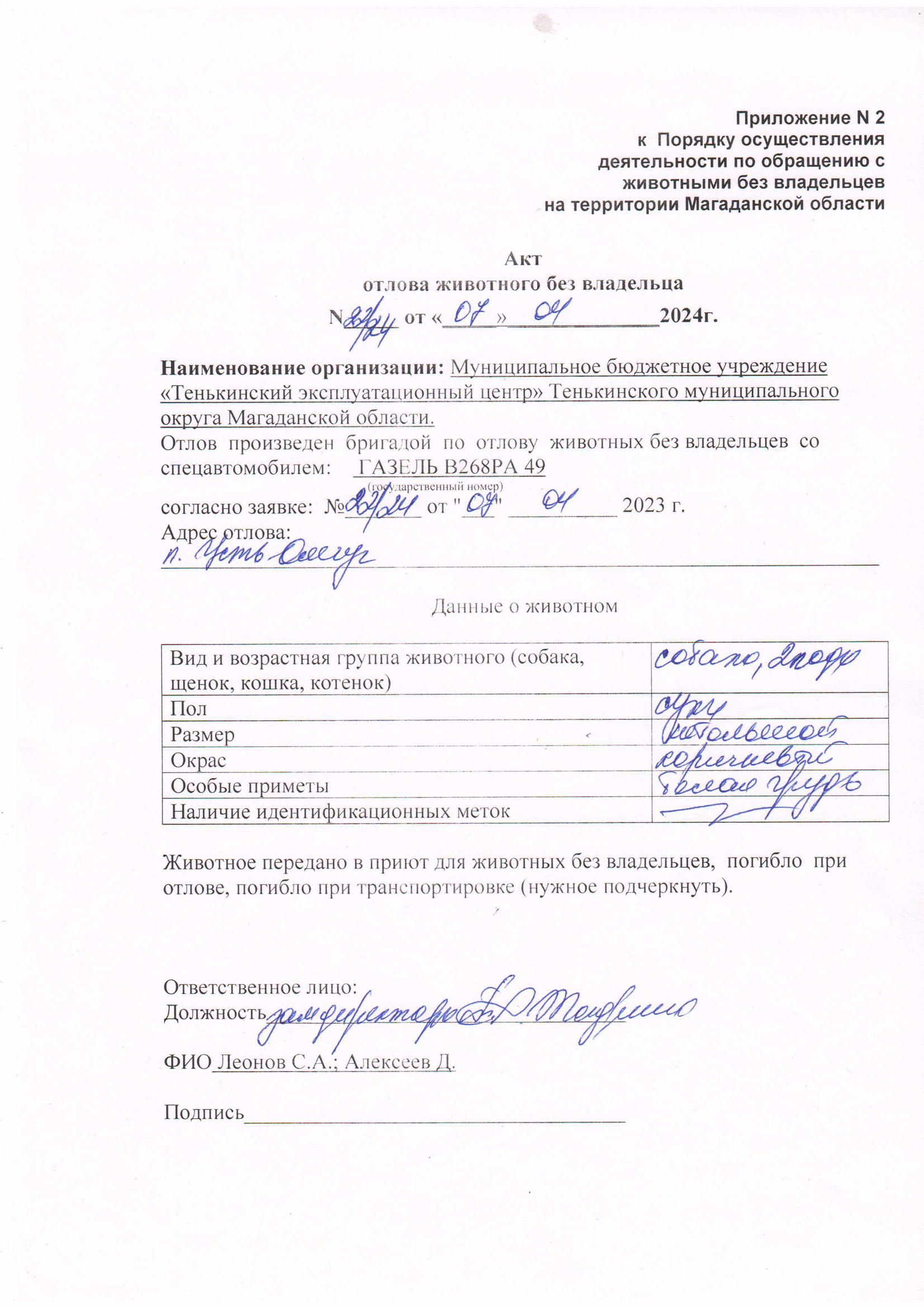 Питомцы.