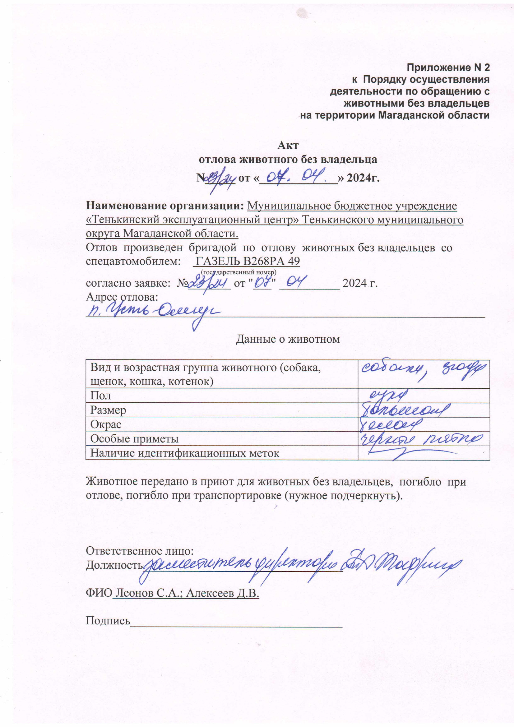Питомцы.