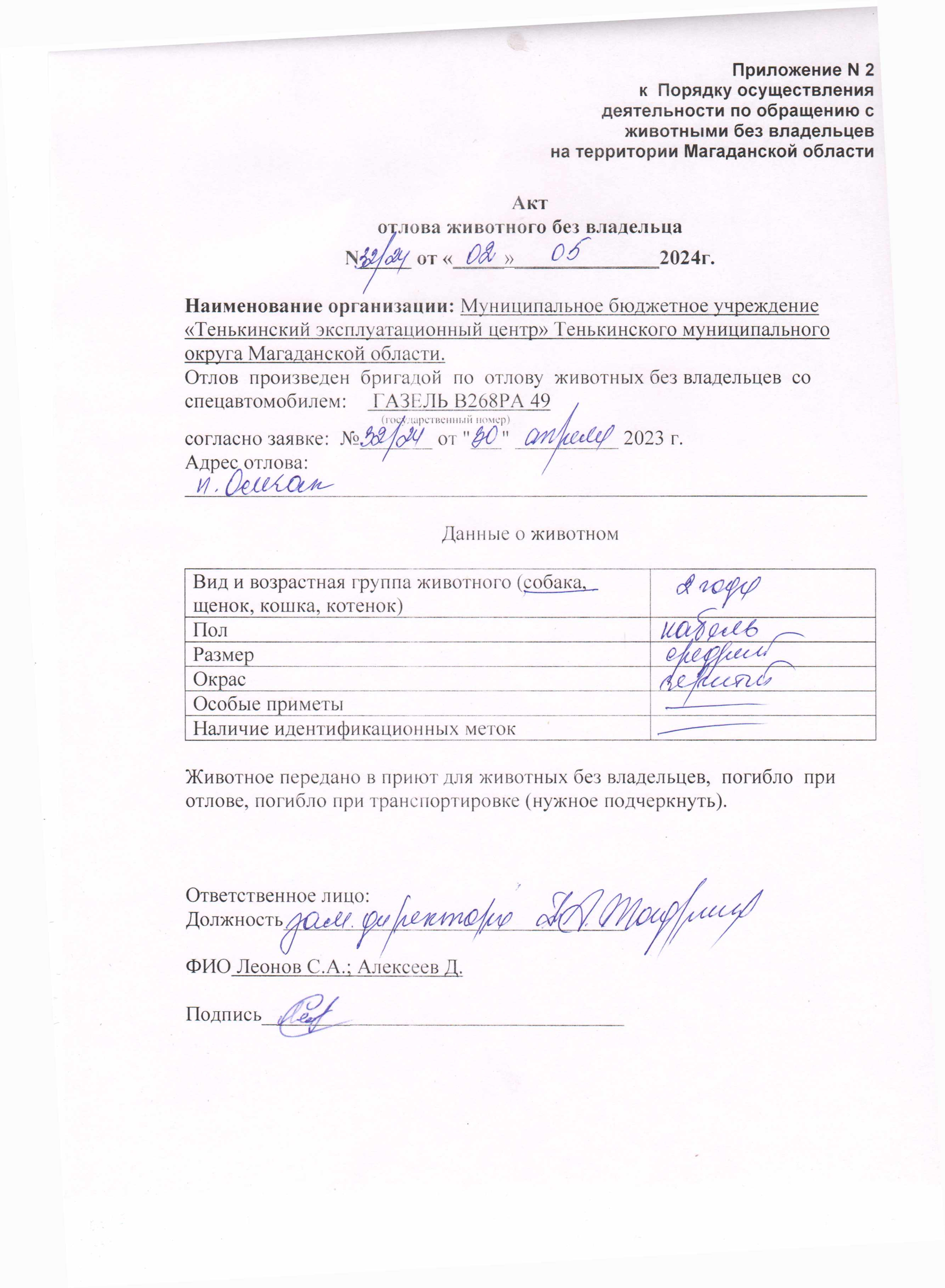 Питомцы.