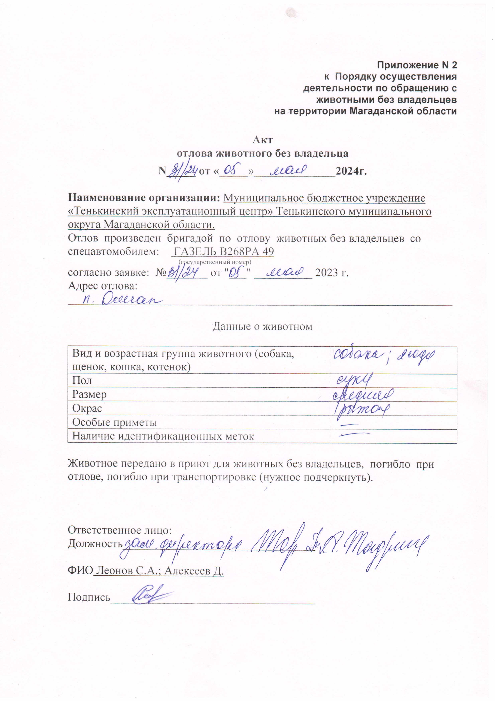 Питомцы.