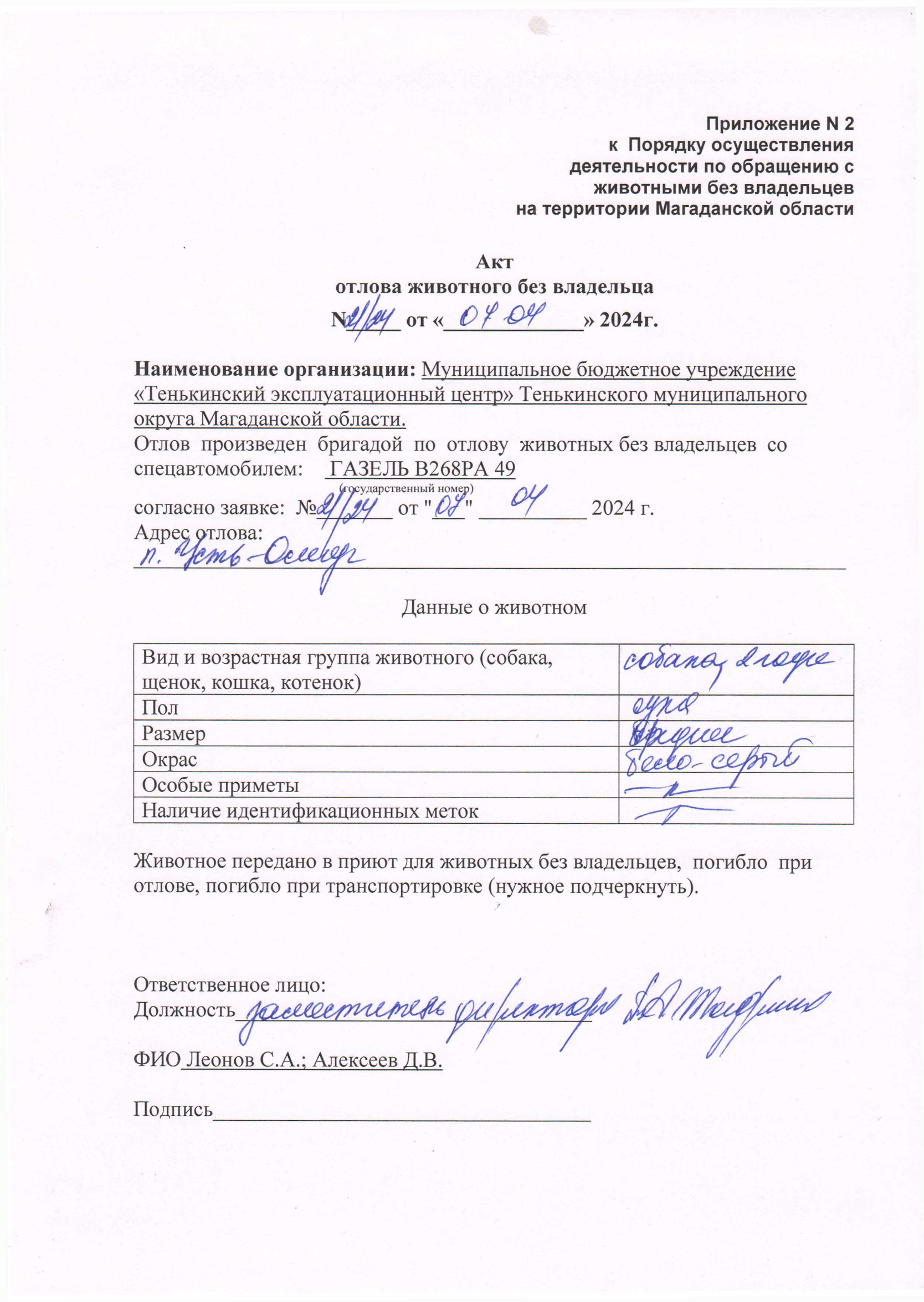 Питомцы.
