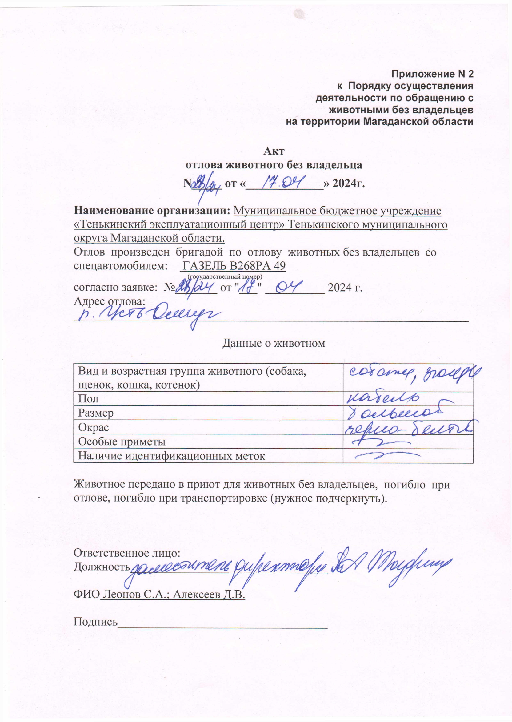 Питомцы.