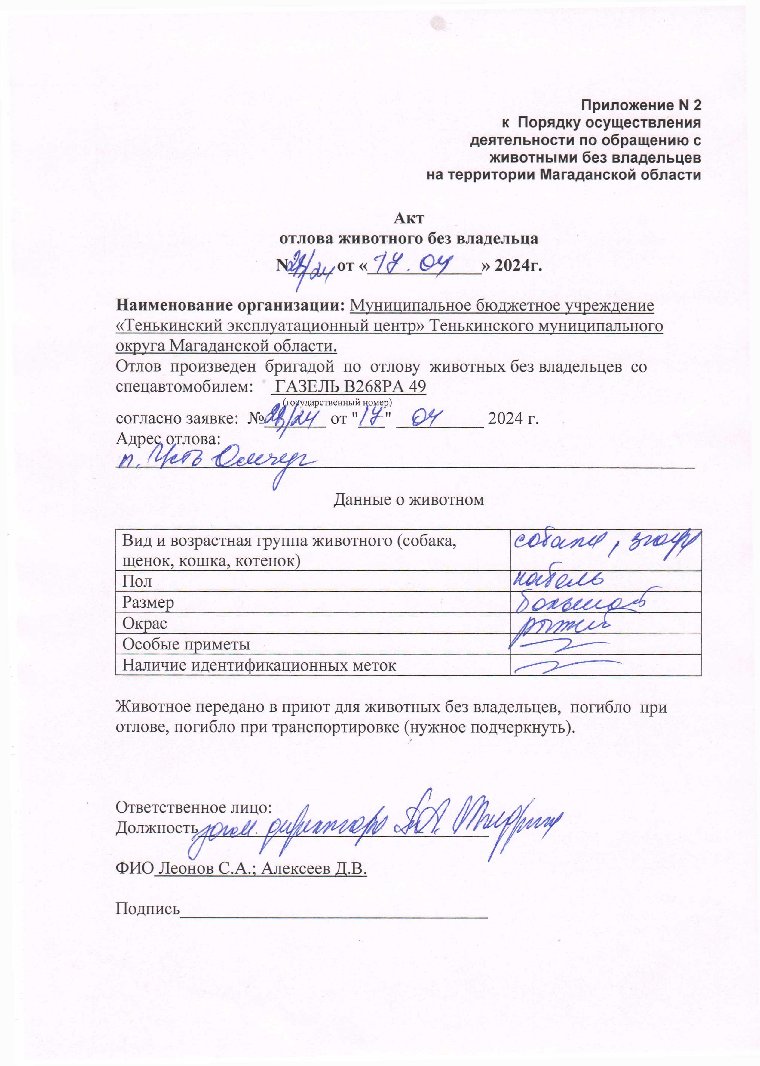 Питомцы.