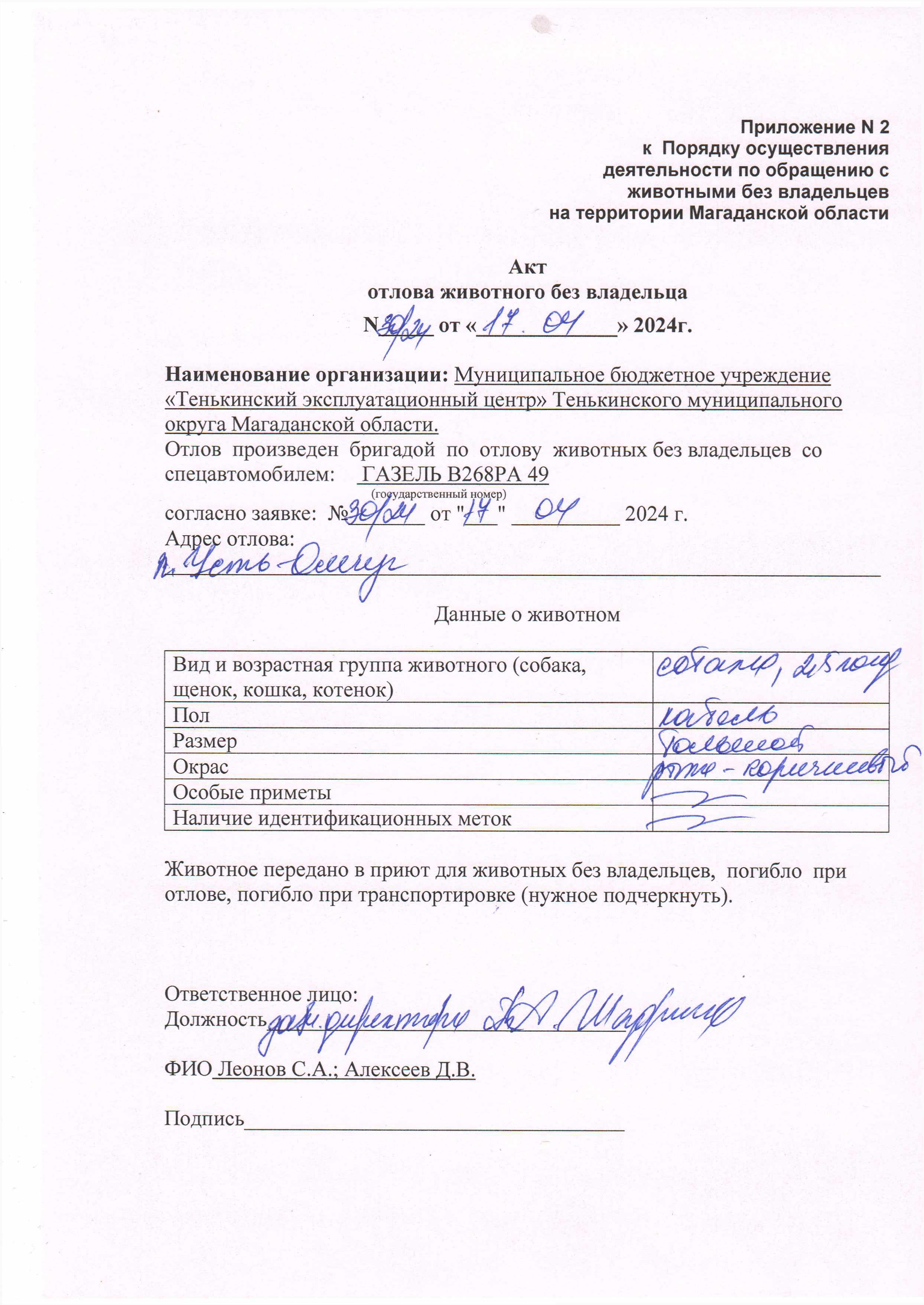 Питомцы.