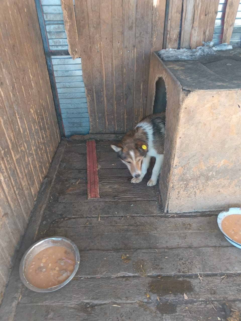 Омчак 15.02.