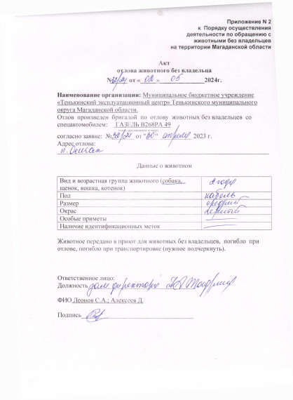 Питомцы. Питомцы.