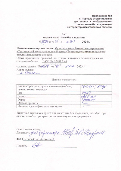 Питомцы. Питомцы.