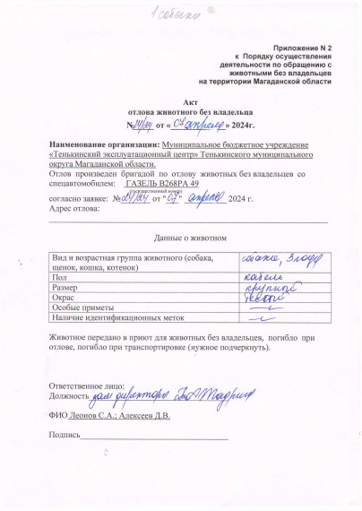 Питомцы. Питомцы.
