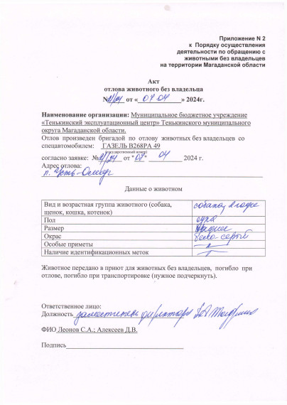 Питомцы. Питомцы.