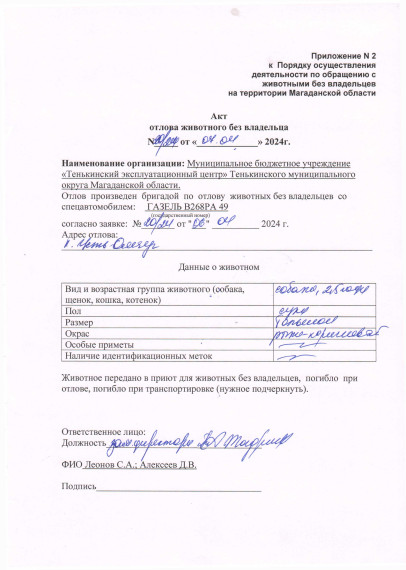 Питомцы. Питомцы.