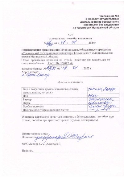 Питомцы. Питомцы.