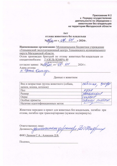 Питомцы. Питомцы.