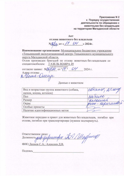 Питомцы. Питомцы.