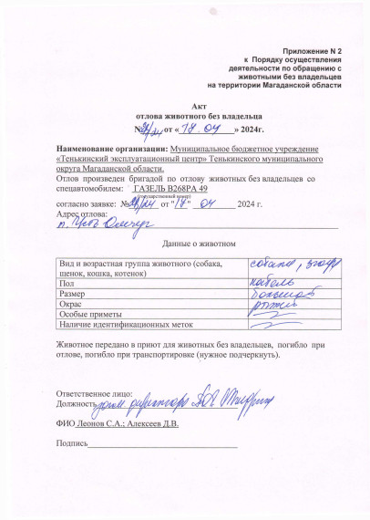 Питомцы. Питомцы.