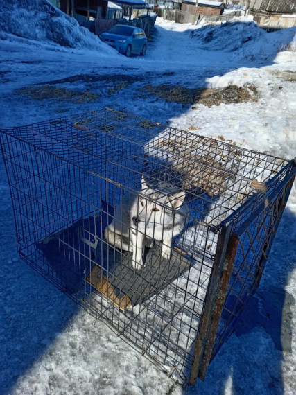 02.04. Усть-Омчуг. 02.04. Усть-Омчуг.